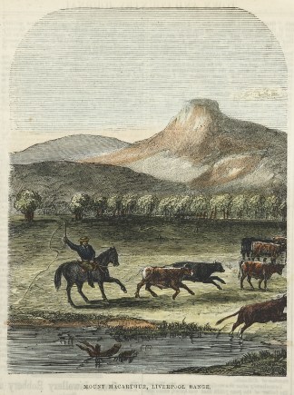 Mount Macarthur, Liverpool Ranges. Regional