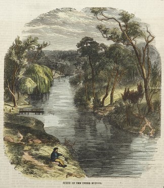 Scene on the Upper Hunter. Regional