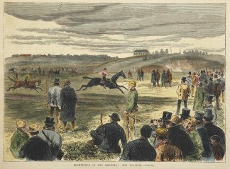 Flemington in the Morning: The Training … Equestrian