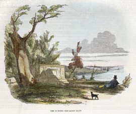 View of Sydney, from Garden Island. NSW - Sydney