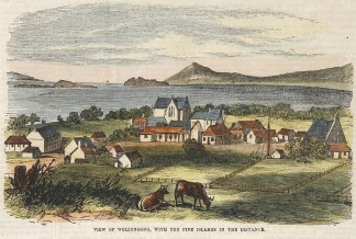 View of Wollongong, with the Five Island… Regional