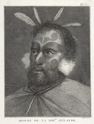 Homme de la Noule. Zelande. Captain Cook Homme de la Noule. Zelande. Captain Cook