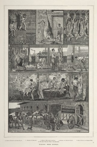 Sydney Food Supply. Chinese in Australia Sydney Food Supply. Chinese in Australia