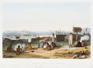 Slaves Preparing Food. NEW ZEALAND