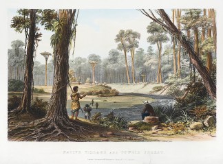 Native Village and Cowdie Forest. sic NEW ZEALAND
