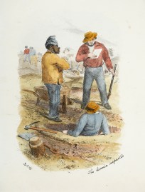 The Licence Inspected