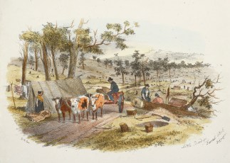 Little Bendigo. Forrest Creek Diggings Australiana (General)