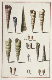 [Turbines aperti] ANIMALS