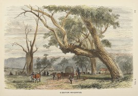 A Squatter’s head-quarters. AUSTRALIA