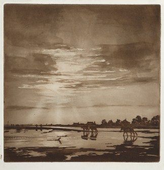 [Cows on a Beach] Australian Printmakers