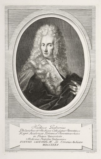 Nicholas Gualterius Philosophus et Medic… Shells & Coral