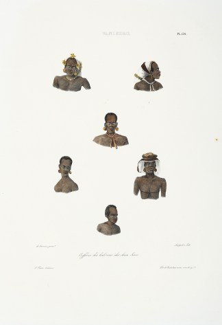 Vanikoro. Coifuures des Habitans des deu… PACIFIC