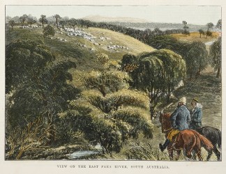 View on the east Para River, South Austr… Regional
