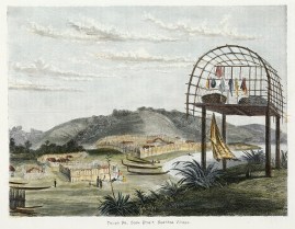 Taupo Pa, Cook Strait, Naatitoa Village. North Island