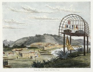 Taupo Pa, Cook Strait, Naatitoa Village. NEW ZEALAND