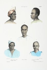 MOLUQUES. 1. Cesar jeune papou de Gilolo 2. Viydag (Vendredi) 3, Chinois d'Amboine 4. Ou=tian=Soui Chinois. 5. Pamakal.