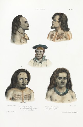 Tikopia. 1.2. Naturels de Tikipia. 3. Ta… PACIFIC