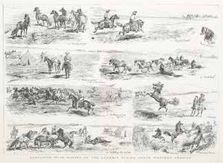 Capturing Wild Horses on the Maramie Pla… North America