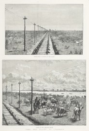 Over the Plains to Colorado. / Approaching a Station on the Plains. / Cattle on the Arkansas River.