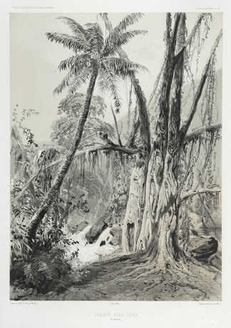 Cascade pres D’Apia (Ile Opoulou.) PACIFIC