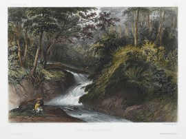 Torrent A Pulo-Penang