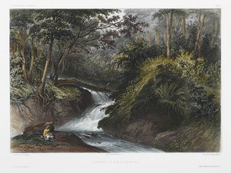 Torrent A Pulo-Penang TOPOGRAPHICAL VIEWS