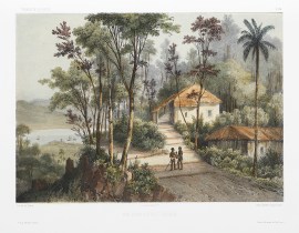 Vue Prise a Pulo-Penang.