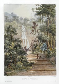 Cascade a Pulo Penang.