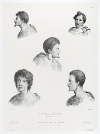 Nouvelle-Zelande. (Baie TAsman.) 1.3.4. Naturels de l'Anse de l'Astrolabe. 2. Taghi-taghi. 5. Jkaitaitaki.