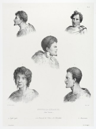 Nouvelle-Zelande. (Baie TAsman.) 1.3.4. … NEW ZEALAND