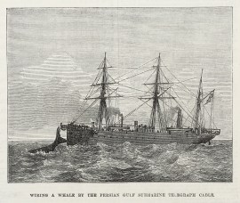 Wiring a Whale by the Persian Gulf Submarine Telegraph Cable.