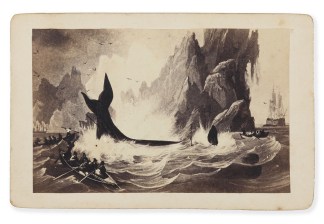 [Whaling] PRINTS & PHOTOGRAPHS