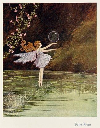 Fairy Frolic Australian