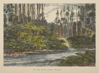 On the Watts River, Victoria. Regional