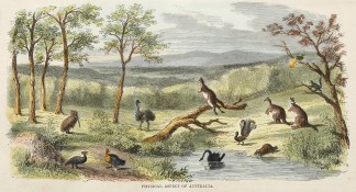 Physical Aspect of Australia. Australiana (General)