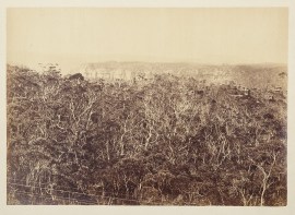 Scene at the Head of the Grose Valley.