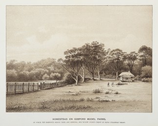 Homestead on Gosford Model Farms, on whi… Regional