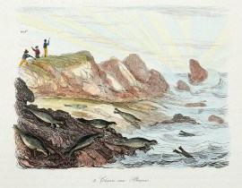 Chasse aux Phoques. Australian - General