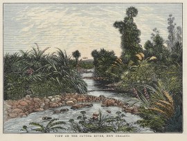 View on the Clutha River, New Zealand.