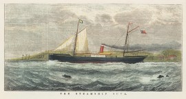 The Steamship Suva. PRINTS & PHOTOGRAPHS
