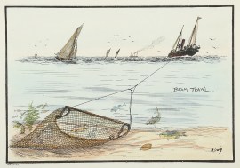 Beam Trawl. ANIMALS
