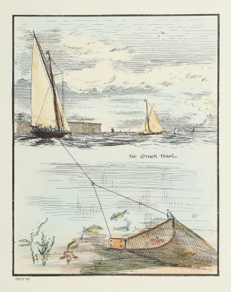 The Otter Trawl Fish & Marine Life