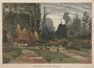 Fernshawe at Early Morning. Regional Fernshawe at Early Morning. Regional