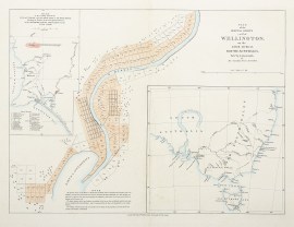 Plan of the Special Survey called Wellington, on the River Murray, South Australia. Pubd. by JI. Arrowsmith, for the Secondary Towns Association.