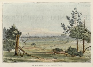 The River Murray: At the Renmark Colony. Regional