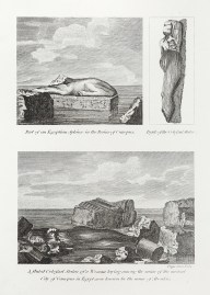 Part of an Egyptian Sphinx in the Ruins of Camopus