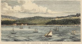 View of Somerset, North Queensland. AUSTRALIA