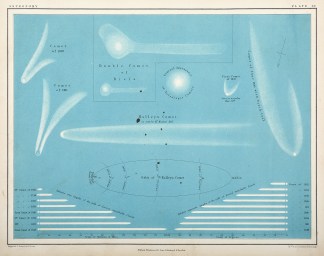 [The Comets] Celestial
