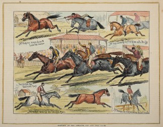 Sketches at the Adelaide Cup and Polo Ra… Equestrian