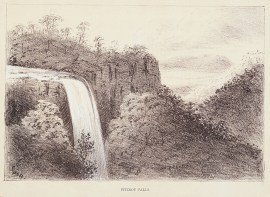Fitzroy Falls.
